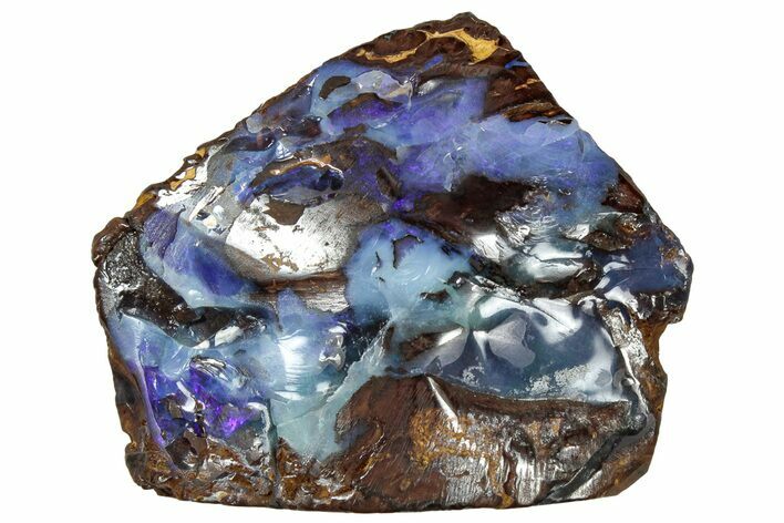 Galactic Boulder Opal Specimen - Queensland, Australia #314823